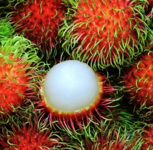 Rambutan (Nephelium lappaceum)