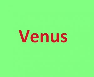 Venus Mango (Mangifera indica 'Venus')