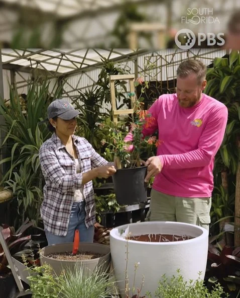 Florida Nursery Mart weekly specials