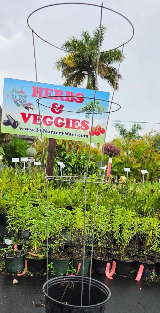 Florida Nursery Mart weekly specials