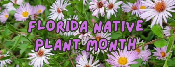 Florida Nursery Mart weekly specials