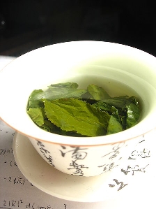 Tea (Camellia sinensis)