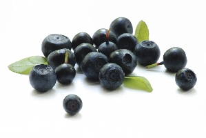 Acai Palm