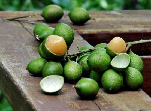 Spanish Lime/Ginep (Melicoccus bijugatus)